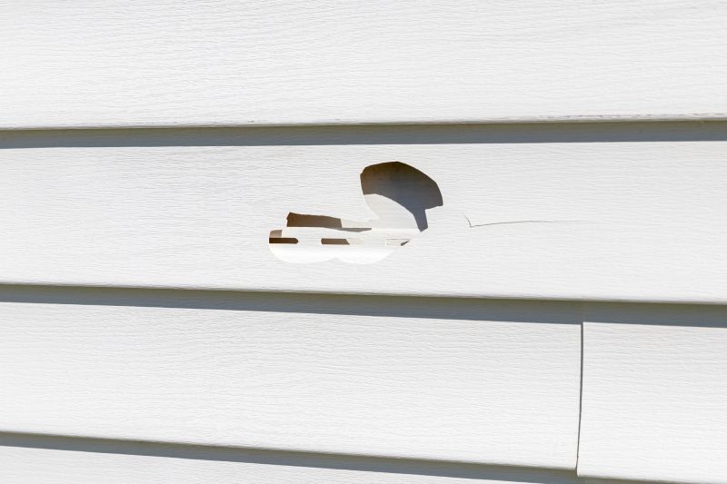 Expert Vinyl Siding Repair Technician