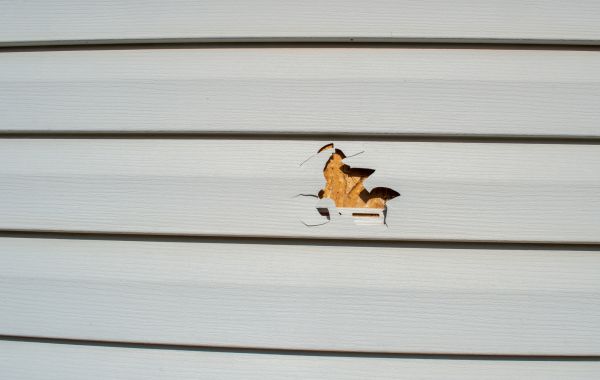 Siding Hole Patching in Bainbridge Island