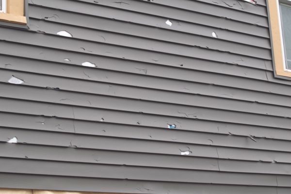 Damaged Siding Replacement in Bainbridge Island